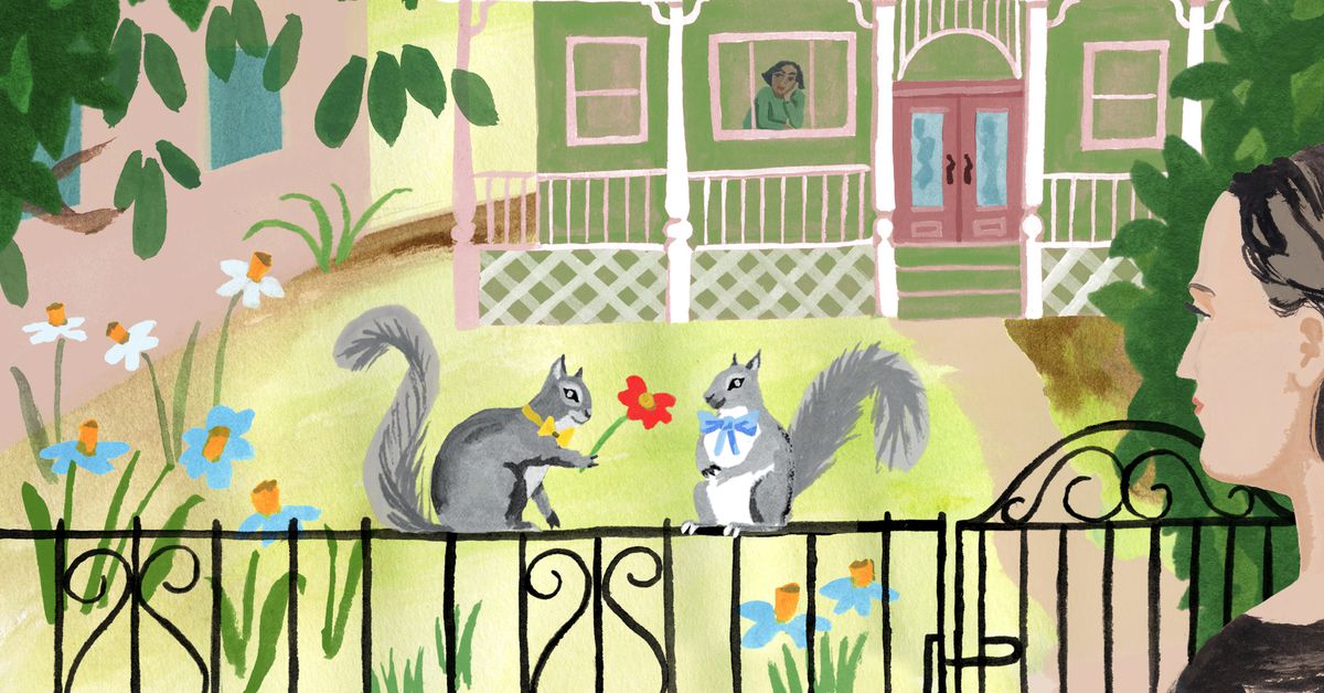 The unexpected joy of the Squirrel Census