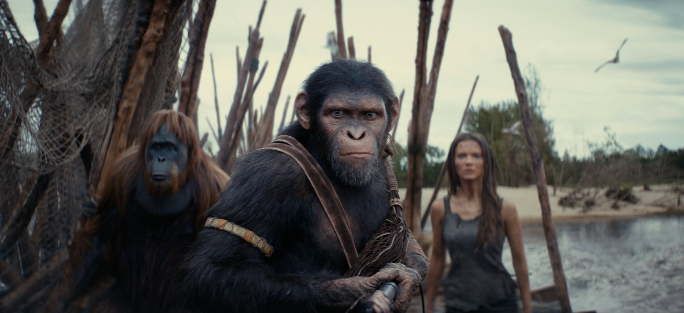 ‘Kingdom of the Planet of Apes’ Blu-Ray Release Will Feature a Historic First