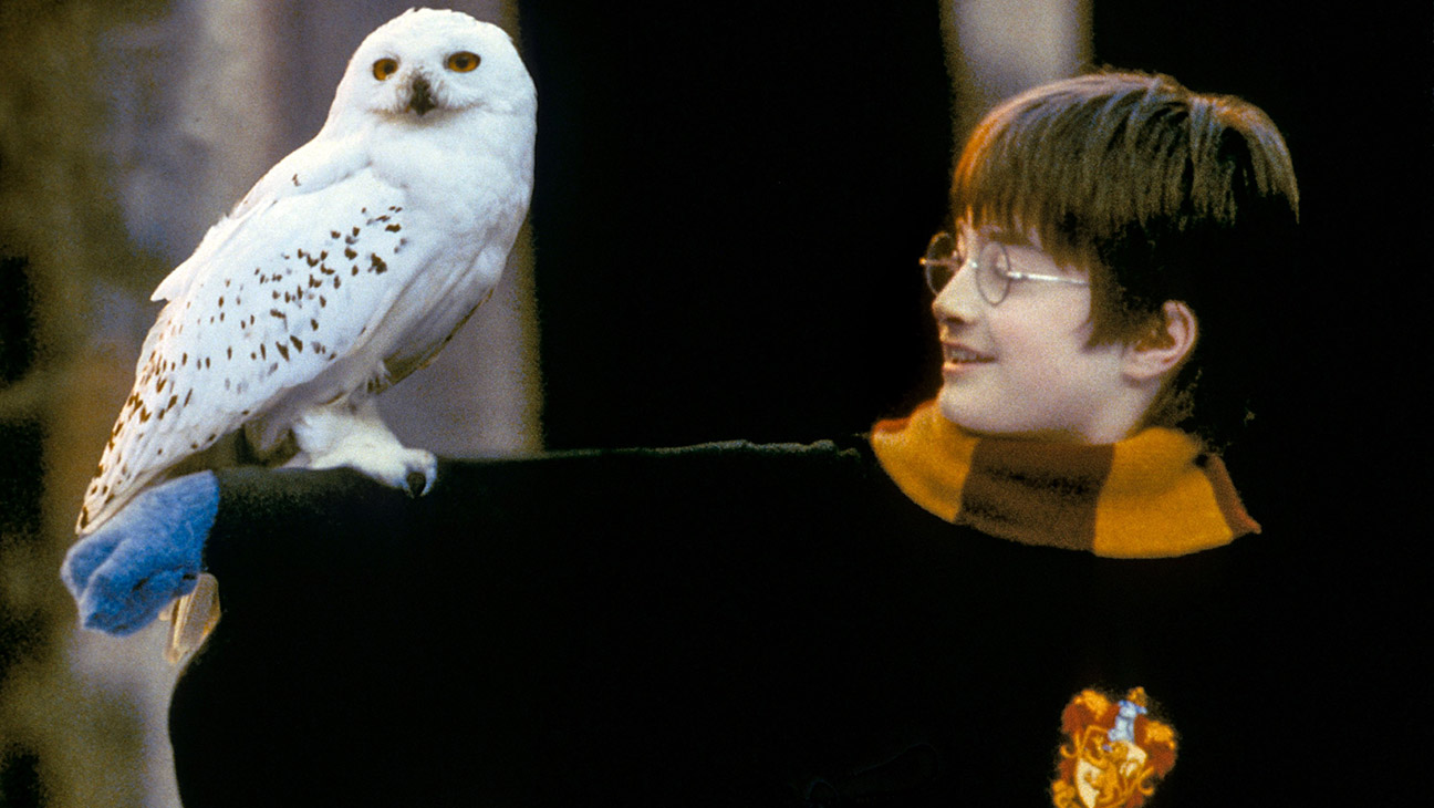 New Harry Potter Audiobook Series in the Works With 100-Plus Actors