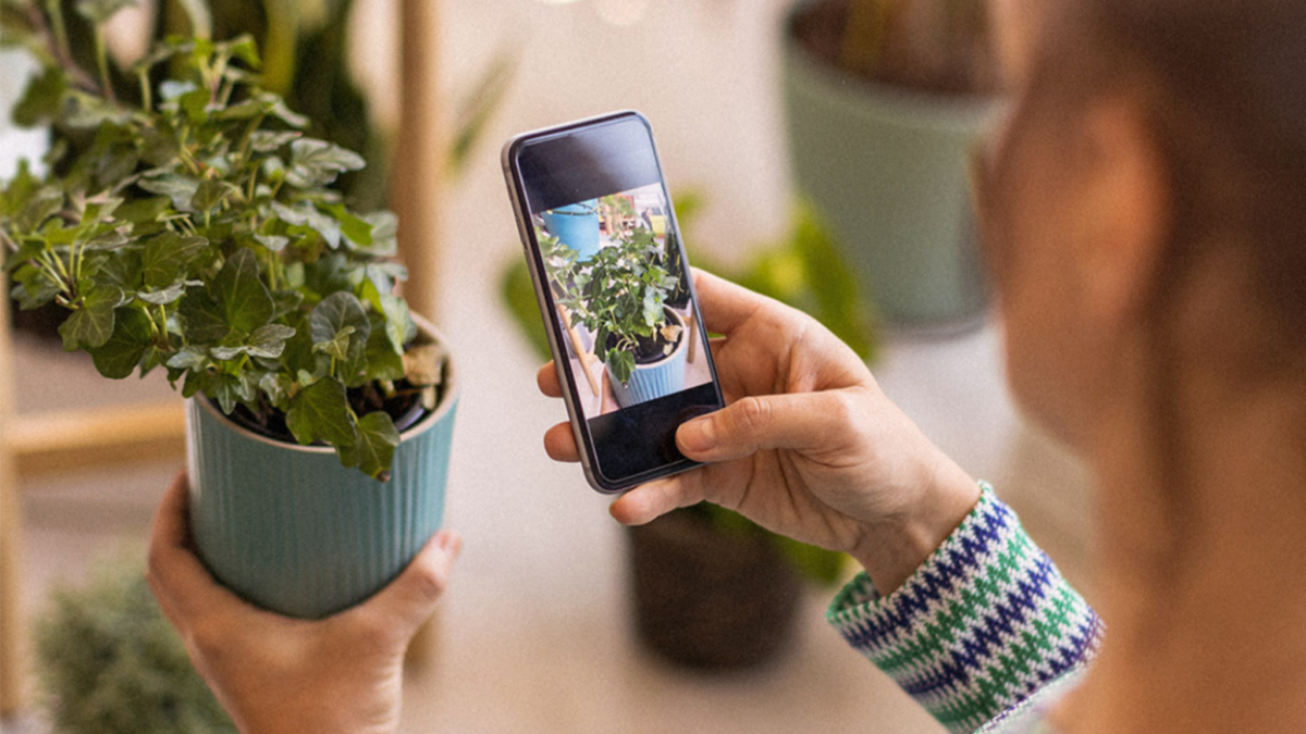 A lifetime subscription to this AI plant identifier app is on sale for 71% off