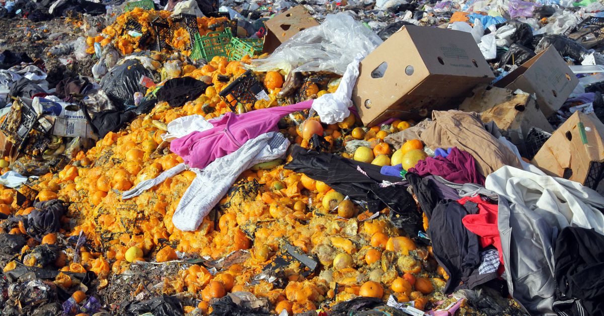 How the world wastes hundreds of billions of meals in a year, in three charts