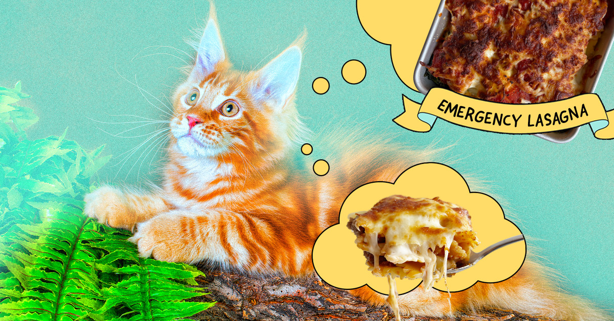 What’s the Best Quick Lasagna Hack, According to the ‘Garfield’ Cookbook?