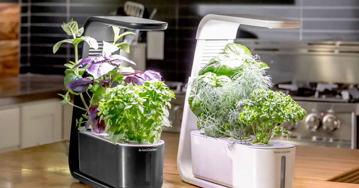 How this smart garden stopped growing