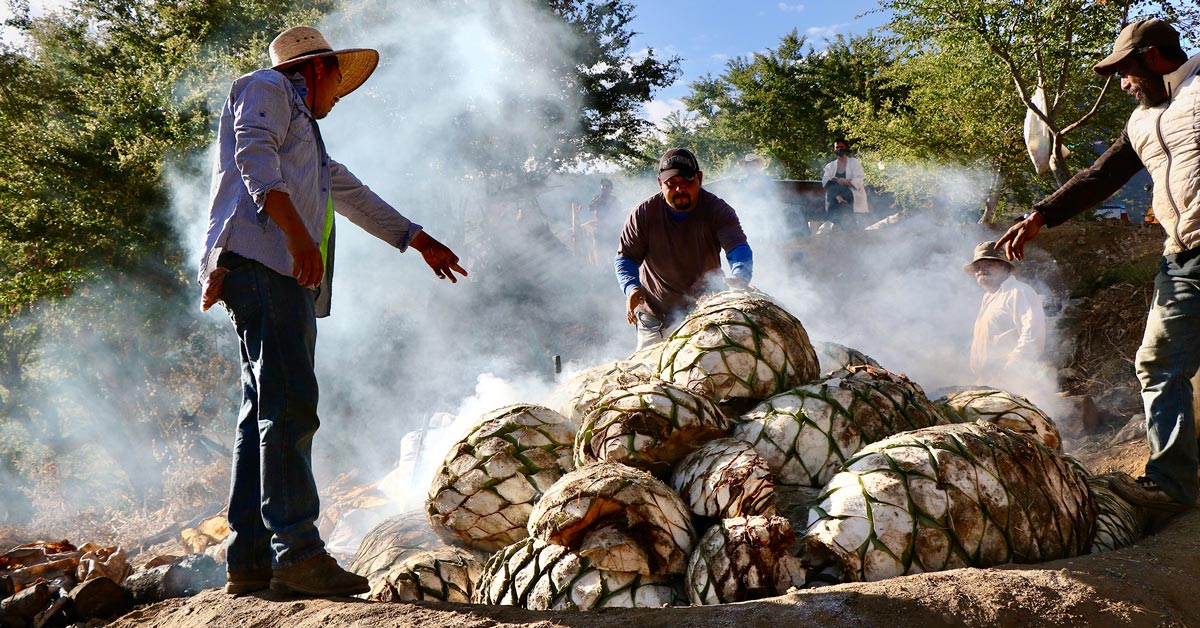 Don’t Know Where to Start With Mezcal? Here Are 10 Producers to Know.